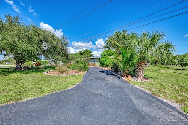 obstructed view of property with a front yard