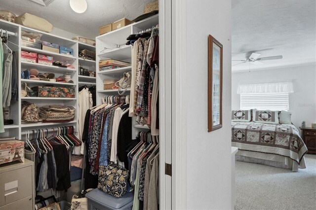 spacious closet featuring carpet and ceiling fan