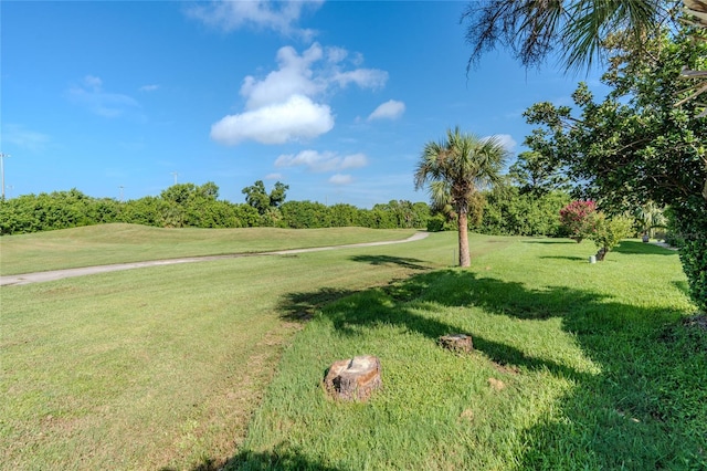 view of property's community featuring a lawn