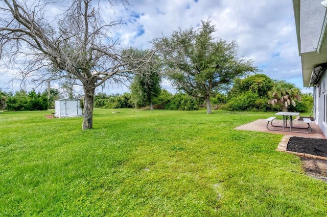 view of yard with a shed and a patio area