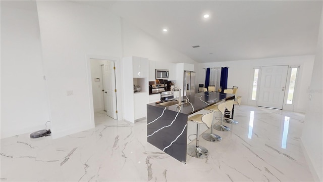 entryway with high vaulted ceiling and sink