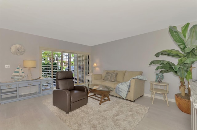 living room with light wood-type flooring