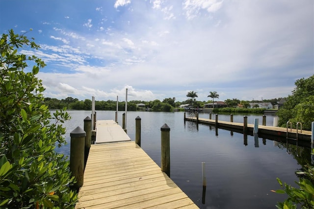 dock area with a water view