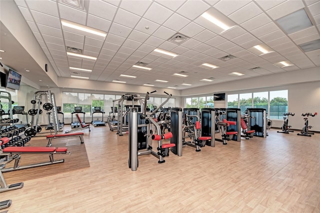 gym with a healthy amount of sunlight, light hardwood / wood-style floors, and a drop ceiling