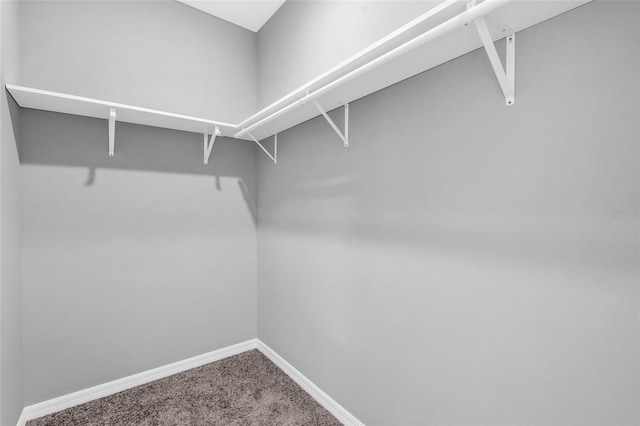 spacious closet with carpet floors