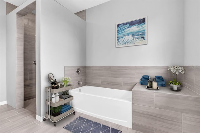 bathroom featuring wood-type flooring and plus walk in shower