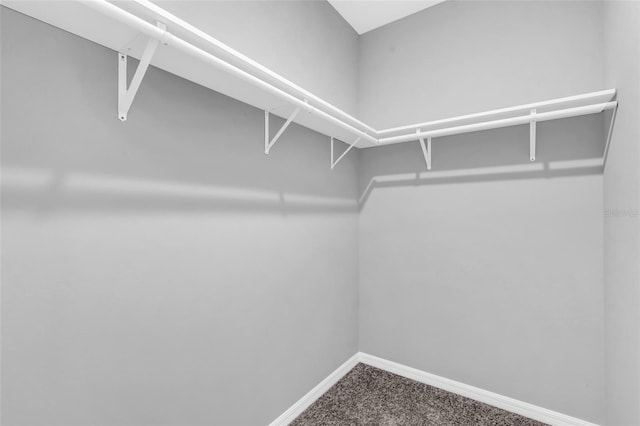 walk in closet featuring carpet floors