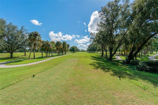 view of property's community featuring a lawn