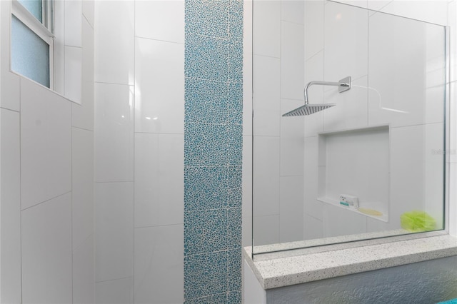 14344 Amestoy Ave, Port Charlotte, FL 33981 - bathroom with a walk in shower