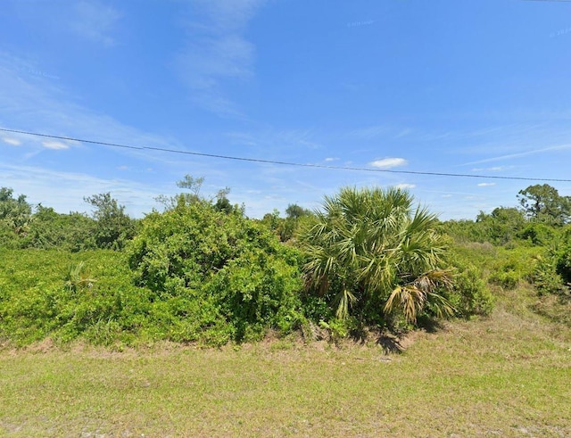 12238 Helicon Ave, Port Charlotte, FL 33981 - photo 6