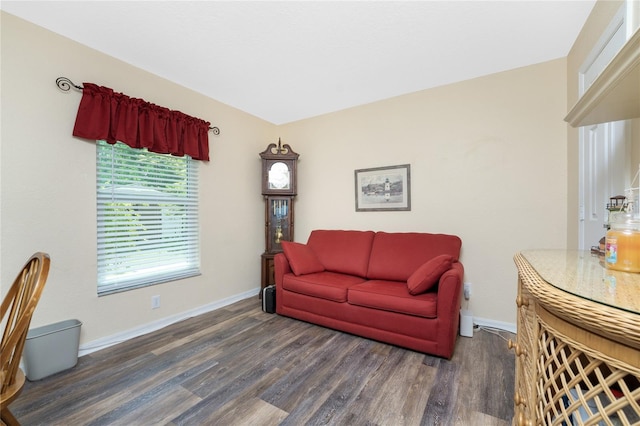 living room with dark hardwood / wood-style floors