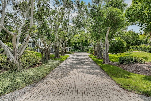 22 Seawatch Dr, Boca Grande, FL 33921 - view of property's community with driveway