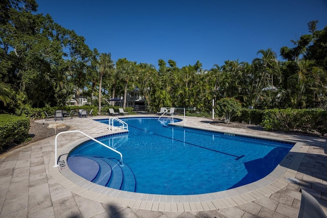 view of swimming pool with a patio area