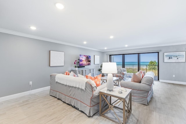 living room featuring crown molding and light hardwood / wood-style flooring