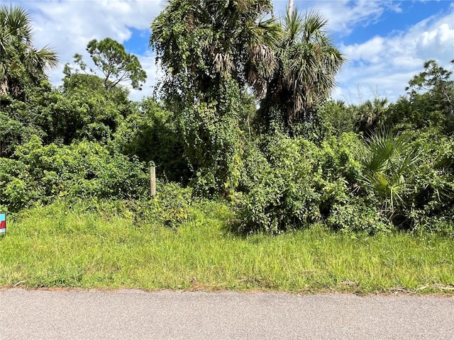 1218 Rizzo St, Port Charlotte FL, 33952 land for sale