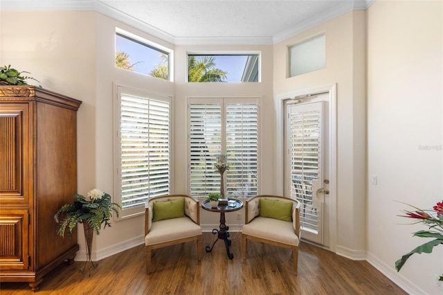 sitting room featuring lofted ceiling, ornamental molding, a textured ceiling, and dark hardwood / wood-style flooring