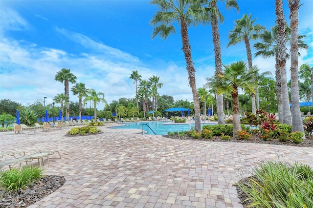 view of swimming pool with a patio