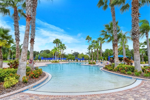 view of swimming pool