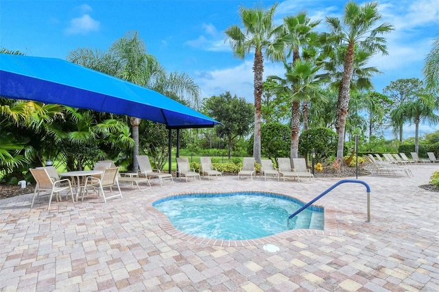 view of swimming pool featuring a patio