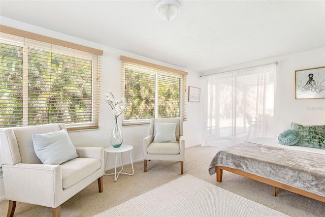 bedroom with carpet