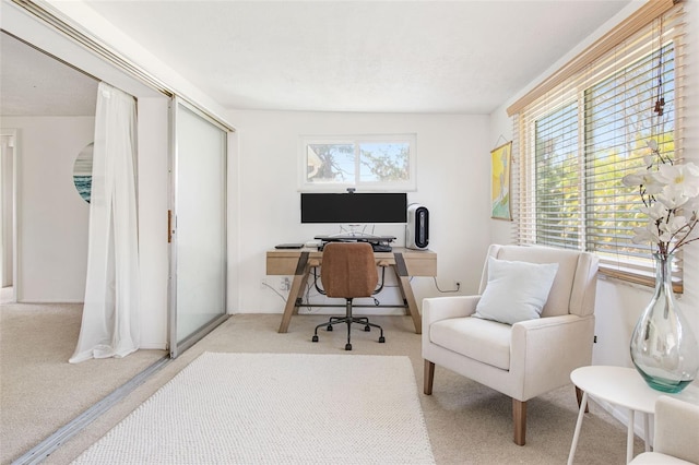 view of carpeted home office