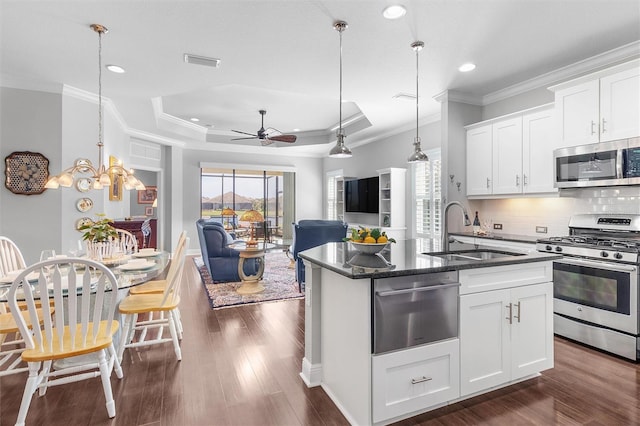 kitchen with sink, white cabinetry, a kitchen island with sink, stainless steel appliances, and a tray ceiling