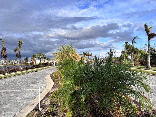 19060 Moscato Ct, Venice, FL 34293 - view of street featuring curbs and sidewalks
