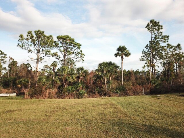 19060 Moscato Ct, Venice, FL 34293 - view of grassy yard
