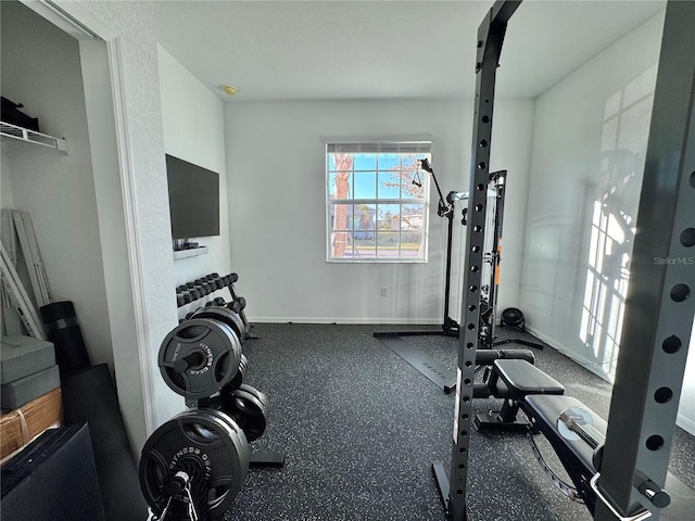 19060 Moscato Ct, Venice, FL 34293 - exercise room featuring baseboards