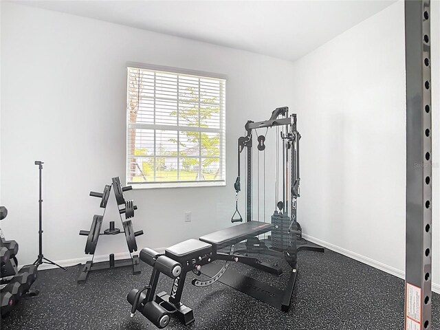 19060 Moscato Ct, Venice, FL 34293 - photo 19