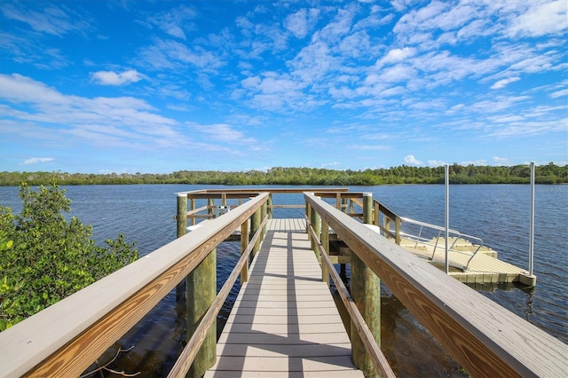 dock area featuring a water view