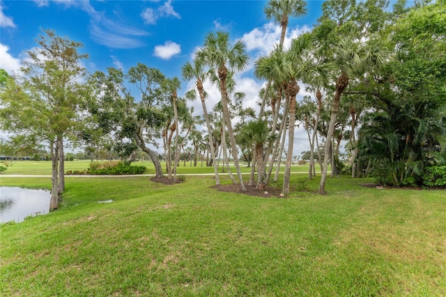 view of yard featuring a water view