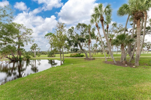 view of yard featuring a water view