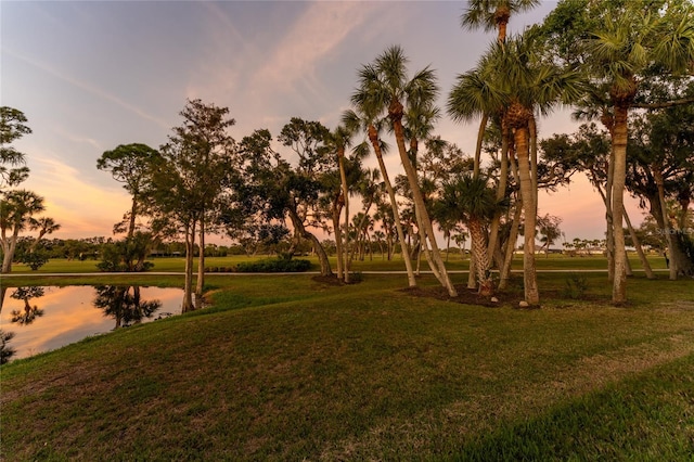 surrounding community featuring a lawn and a water view