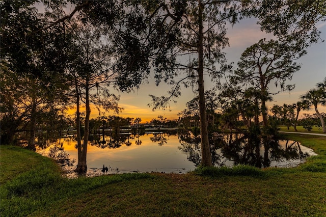 nature at dusk featuring a water view