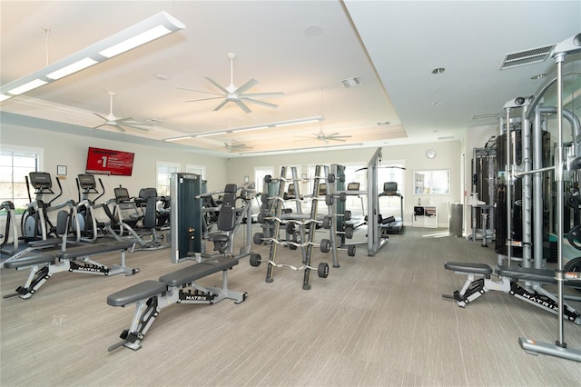 exercise room featuring a raised ceiling and ceiling fan