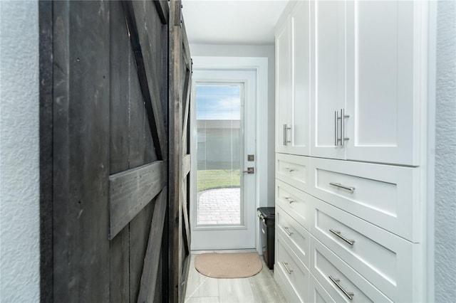 doorway with light hardwood / wood-style floors and plenty of natural light