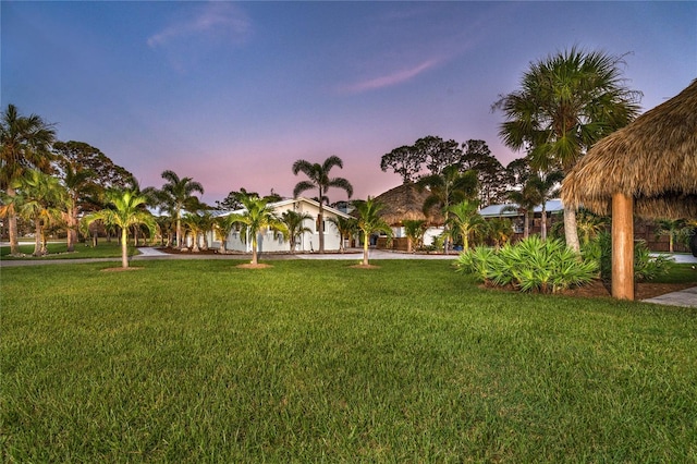 view of yard at dusk