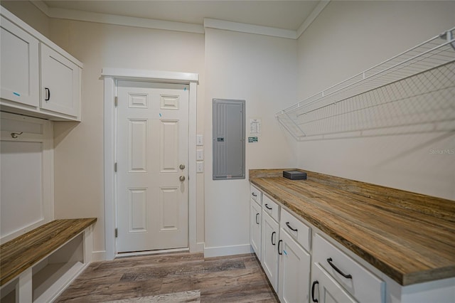 clothes washing area featuring crown molding, electric panel, and dark hardwood / wood-style flooring