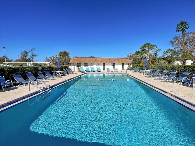 view of swimming pool with a patio area