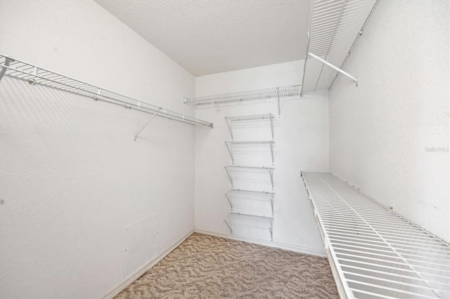 spacious closet with carpet floors