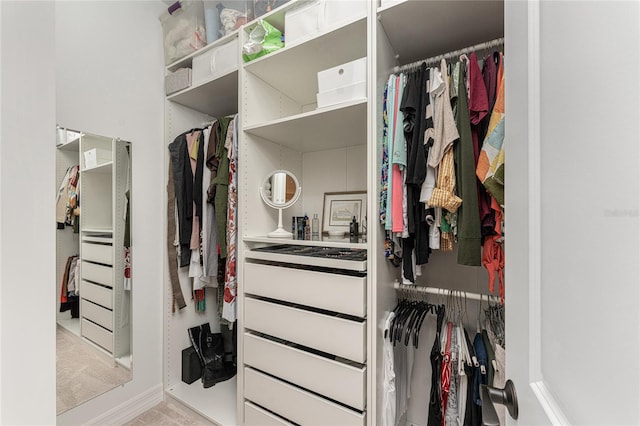 view of spacious closet