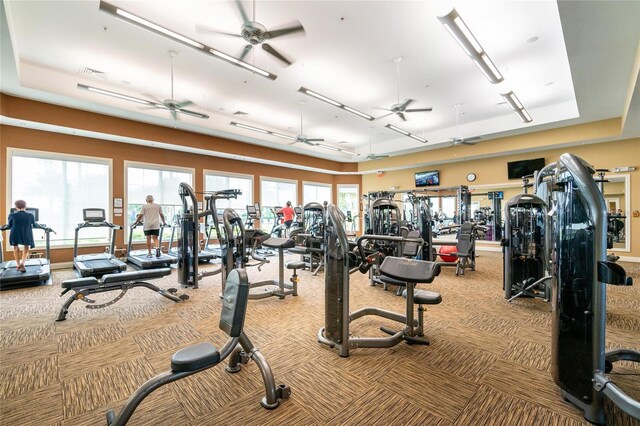 13077 Rinella St, Venice, FL 34293 - workout area with ceiling fan, carpet floors, and a tray ceiling