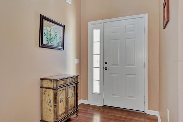 entryway with hardwood / wood-style floors