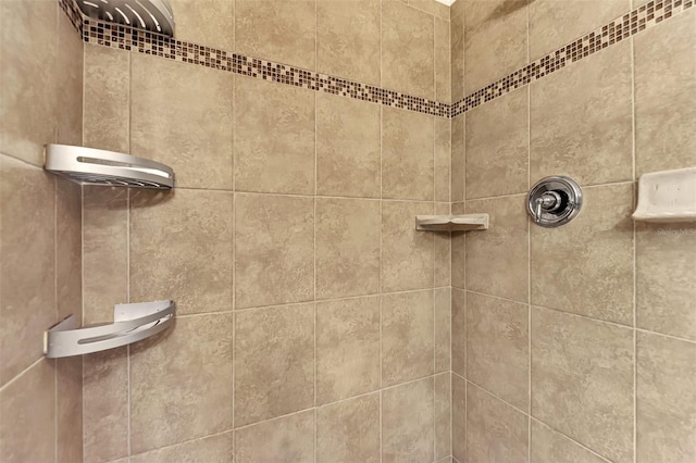 room details featuring tiled shower