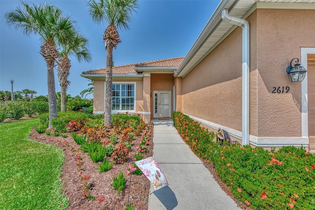 property entrance featuring a yard