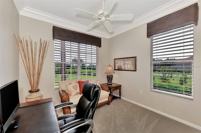 office space with carpet flooring, ceiling fan, and crown molding