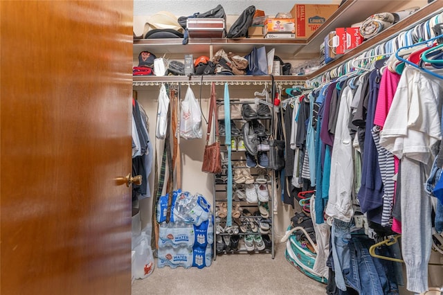 walk in closet featuring carpet