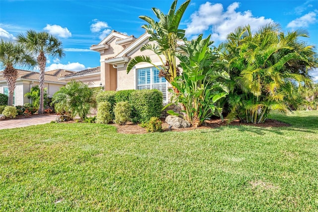 view of front of property with a front yard