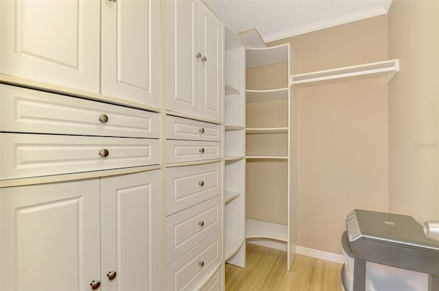 spacious closet featuring light hardwood / wood-style floors